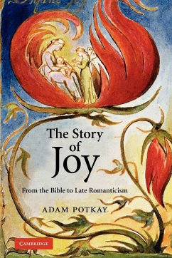 The Story of Joy - Potkay, Adam; Potkay