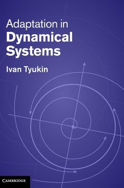Adaptation in Dynamical Systems - Tyukin, Ivan