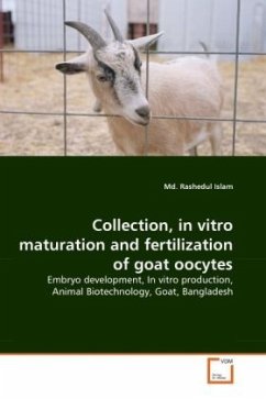 Collection, in vitro maturation and fertilization of goat oocytes