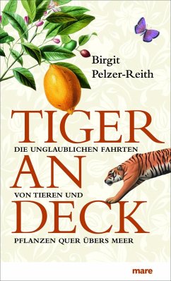 Tiger an Deck - Pelzer-Reith, Birgit