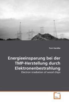 Energieeinsparung bei der TMP-Herstellung durch Elektronenbestrahlung - Handke, Toni