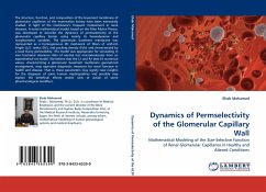 Dynamics of Permselectivity of the Glomerular Capillary Wall