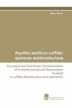Aquifex aeolicus sulfide: quinone oxidoreductase - Marcia, Marco