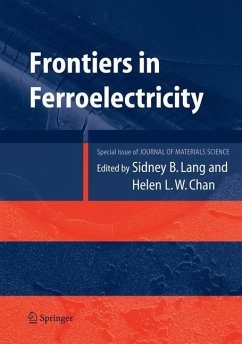 Frontiers of Ferroelectricity - Lang, Sidney B.;Chan, Helen L.W.