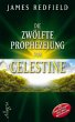 Die zwölfte Prophezeiung von Celestine - Bild 1