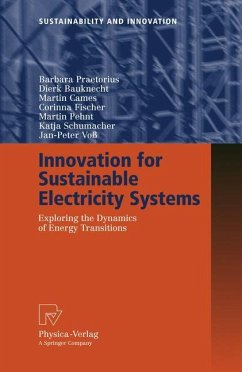 Innovation for Sustainable Electricity Systems - Praetorius, Barbara;Bauknecht, Dierk;Cames, Martin