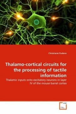 Thalamo-cortical circuits for the processing of tactile information - Pudenz, Christiane