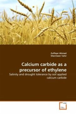 Calcium carbide as a precursor of ethylene