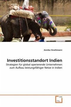 Investitionsstandort Indien - Strathmann, Annika