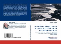 NUMERICAL MODELLING OF ALLUVIAL RIVERS BY SHOCK CAPTURING METHODS - Canestrelli, Alberto