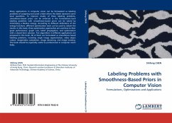 Labeling Problems with Smoothness-Based Priors in Computer Vision