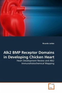 Alk2 BMP Receptor Domains in Developing Chicken Heart