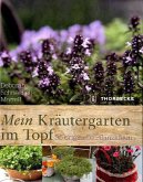 Mein Kräutergarten im Topf