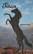 Titan - Bild 1