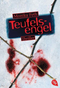 Teufelsengel / Romy Berner Bd.1 - Feth, Monika