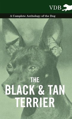 The Black and Tan Terrier - A Complete Anthology of the Dog - - Various