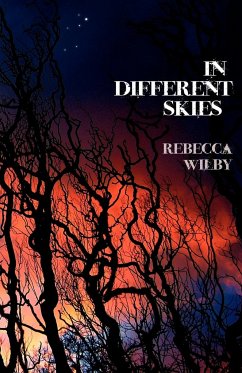 In Different Skies - Wilby, Rebecca