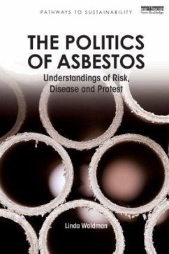 The Politics of Asbestos - Waldman, Linda