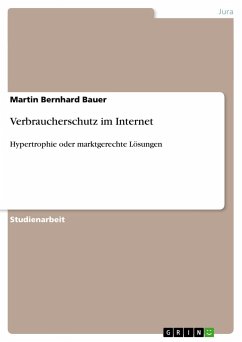 Verbraucherschutz im Internet - Bauer, Martin Bernhard