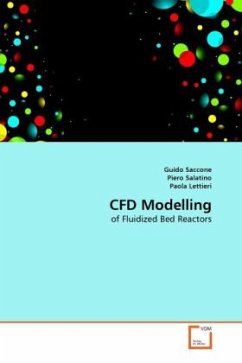 CFD Modelling - Saccone, Guido;Salatino, Piero;Lettieri, Paola