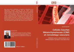 Cellules Souches Mésenchymateuses (CSM) et remodelage vasculaire - ROCHEFORT, Gaël