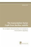 The transcription factor CcpN from Bacillus subtilis