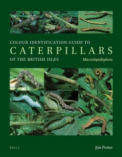 Colour Identification Guide to Caterpillars of the British Isles. Macrolepidoptera - Porter, Jim