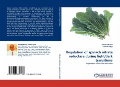 Regulation of spinach nitrate reductase during light/dark transitions