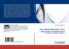Clay Hybrid Materials: From Processing to Applications - Choudhury, Tanushree