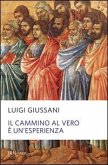 Il cammino al vero è un'esperienza Il cammino al vero è un'esperienza