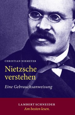 Nietzsche verstehen - Niemeyer, Christian