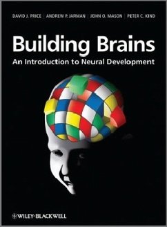 Cover Building Brains