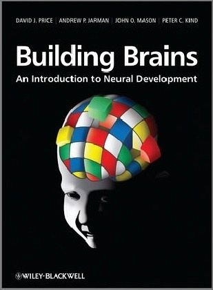 Building Brains Building Brains