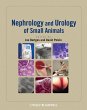 Nephrology and Urology of Small Animals - Bild 1