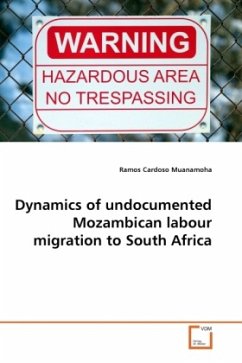 Dynamics of undocumented Mozambican labour migration to South Africa Dynamics of undocumented Mozambican labour migration to South Africa