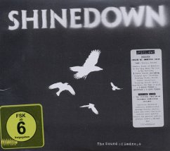 The Sound Of Madness - Shinedown