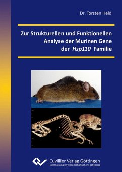 Zur Strukturellen und Funktionellen Analyse der Murinen Gene der Hsp110 Familie - Held, Torsten