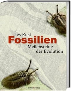 Fossilien - Rust, Jes