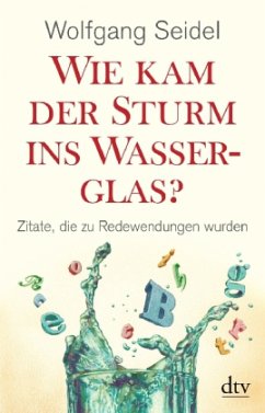 Wie kam der Sturm ins Wasserglas? - Seidel, Wolfgang