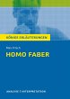 Homo faber. Textanalyse und... - Bild 1
