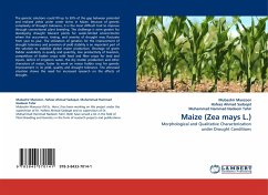 Maize (Zea mays L.)