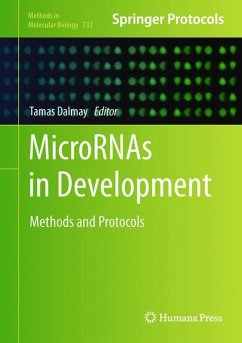 MicroRNAs in Development