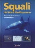 Squali del Mar Mediterraneo Squali del Mar Mediterraneo