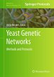 Yeast Genetic Networks - Bild 1