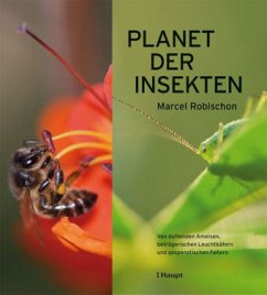Cover Planet der Insekten