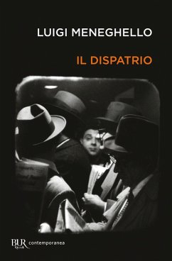 Cover Il dispatrio