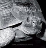 Voglio una tartaruga terrestre Voglio una tartaruga terrestre