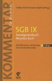 Sozialgesetzbuch Neuntes Buch (SGB IX), Kommentar