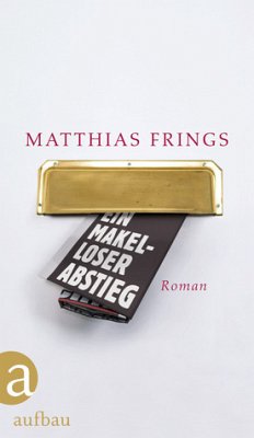 Ein makelloser Abstieg - Frings, Matthias