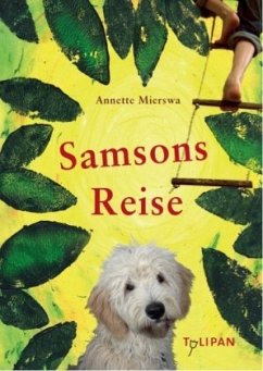 Samsons Reise - Mierswa, Annette